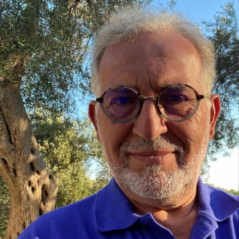 Dimitris Karagiannis Profile Picture