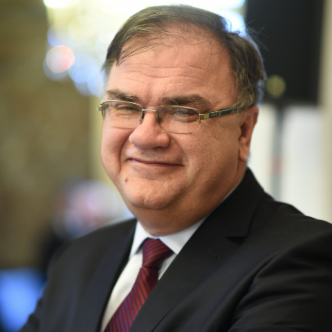 Mladen Ivanic Profile Picture