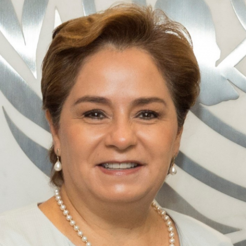 Patricia Espinosa Profile Picture