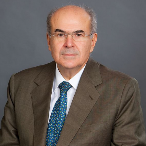 Vassilios Skouris Profile Picture