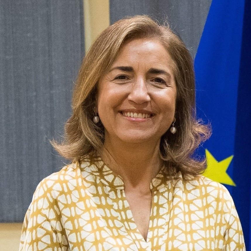 Themis Christophidou