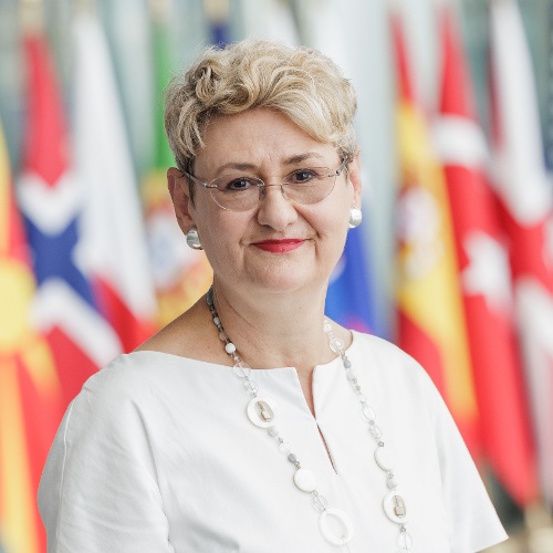 Oana Lungescu