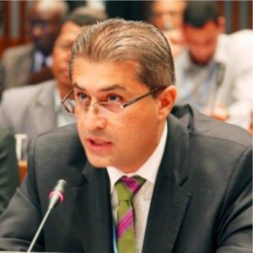 Theodoulos Mesimeris