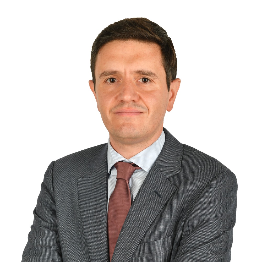 Michel Vedrenne Gutiérrez