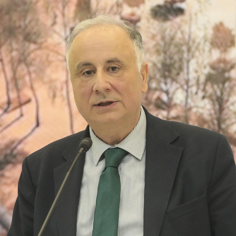 Ioannis  Androulakis